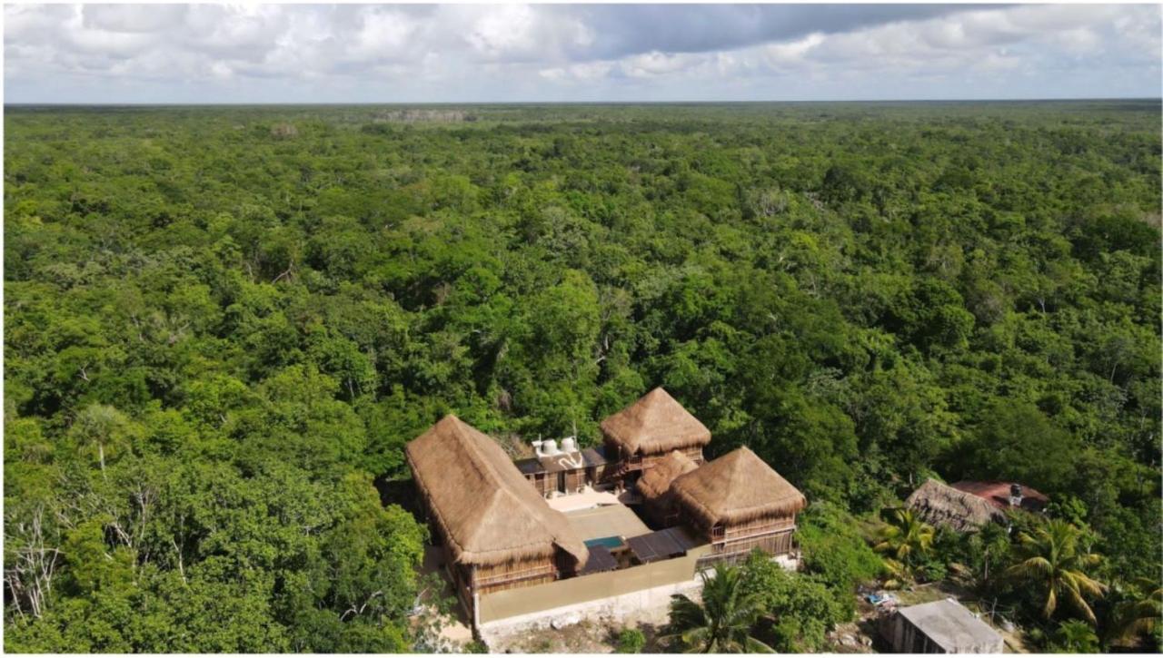 Jungla Y Estrellas Coba Exterior photo