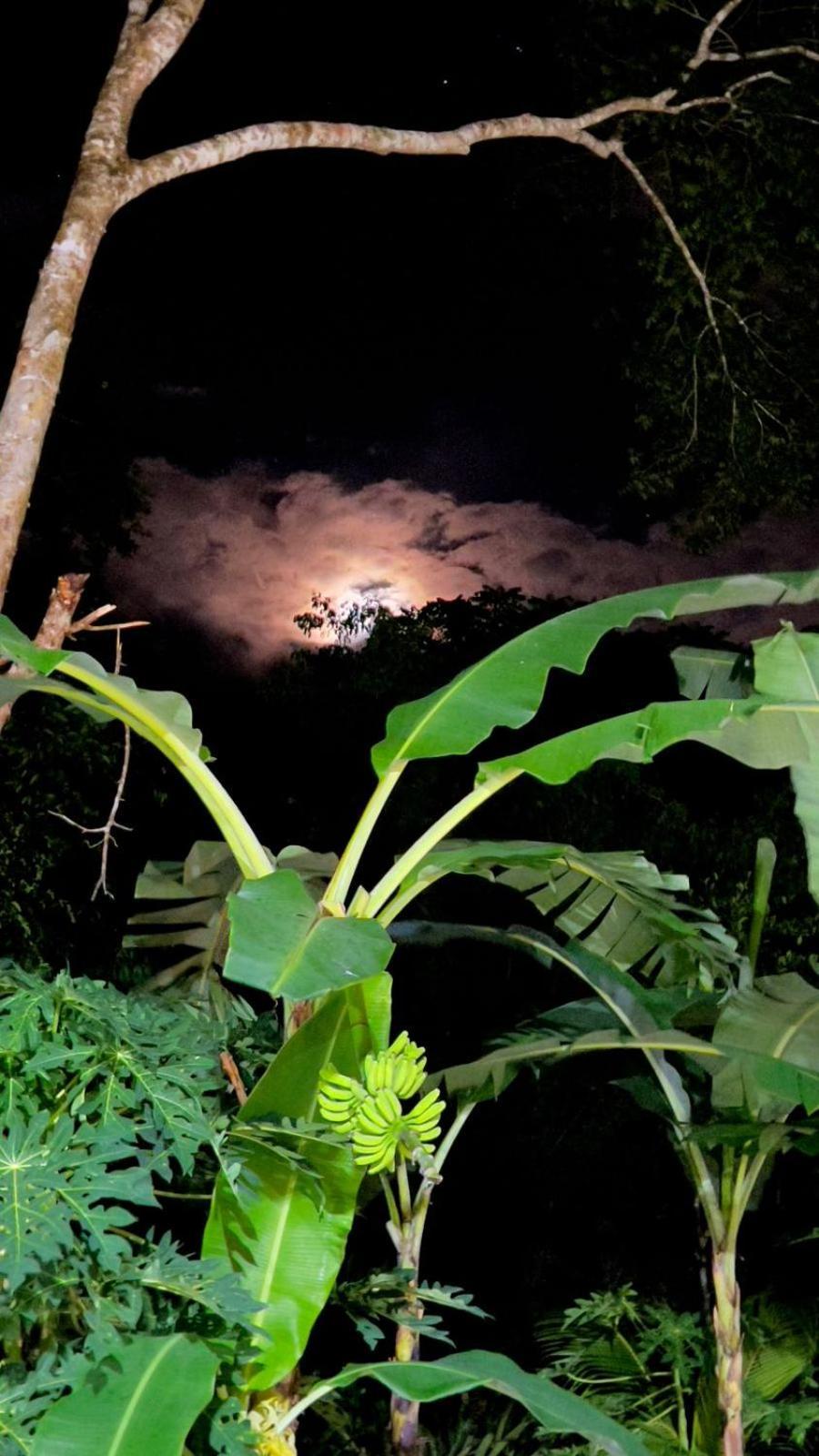 Jungla Y Estrellas Coba Exterior photo
